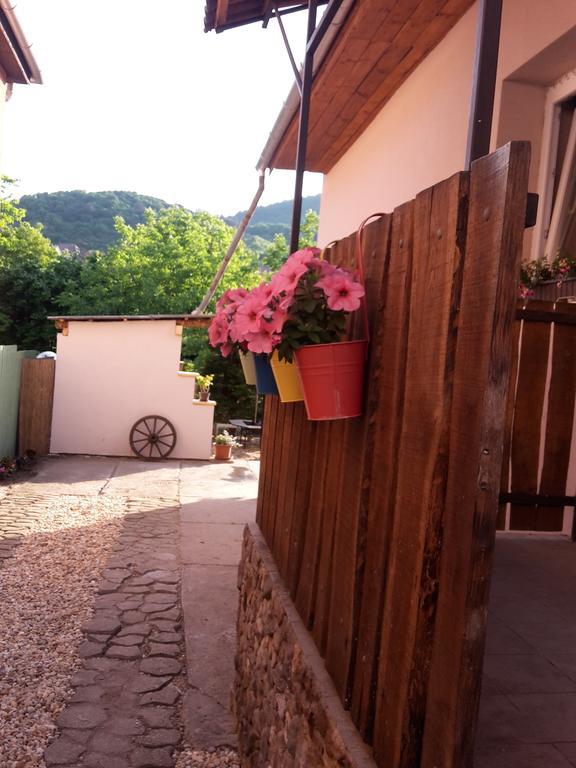 Kaland Vendeghaz Villa Sátoraljaújhely Buitenkant foto